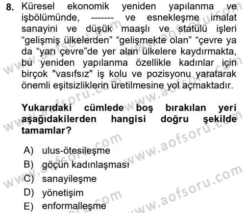 Yeni Toplumsal Hareketler Dersi 2017 - 2018 Yılı 3 Ders Sınav Soruları 8. Soru