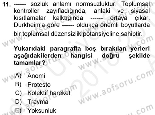 Yeni Toplumsal Hareketler Dersi Ara Sınavı Deneme Sınav Soruları 11. Soru