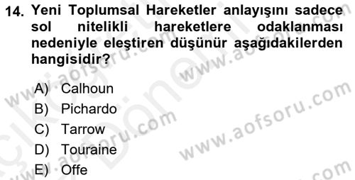 Yeni Toplumsal Hareketler Dersi Ara Sınavı Deneme Sınav Soruları 14. Soru