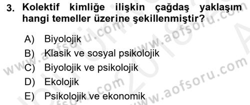 Yeni Toplumsal Hareketler Dersi 2018 - 2019 Yılı (Vize) Ara Sınav Soruları 3. Soru