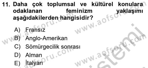 Yeni Toplumsal Hareketler Dersi 2018 - 2019 Yılı Yaz Okulu Sınav Soruları 11. Soru