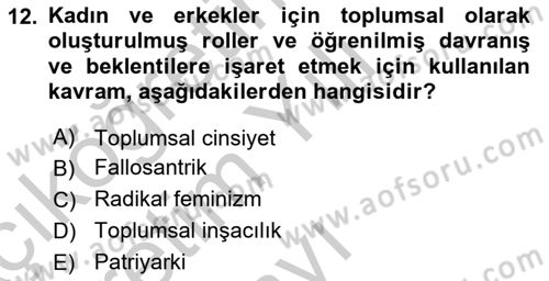 Yeni Toplumsal Hareketler Dersi 2018 - 2019 Yılı Yaz Okulu Sınav Soruları 12. Soru