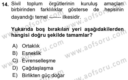 Yeni Toplumsal Hareketler Dersi 2018 - 2019 Yılı Yaz Okulu Sınav Soruları 14. Soru