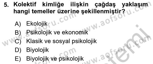Yeni Toplumsal Hareketler Dersi 2018 - 2019 Yılı Yaz Okulu Sınav Soruları 5. Soru