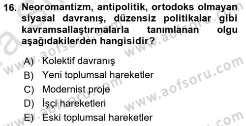 Yeni Toplumsal Hareketler Dersi 2019 - 2020 Yılı (Vize) Ara Sınav Soruları 16. Soru