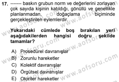 Yeni Toplumsal Hareketler Dersi Ara Sınavı Deneme Sınav Soruları 17. Soru