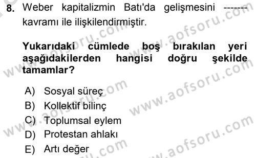 Yeni Toplumsal Hareketler Dersi Ara Sınavı Deneme Sınav Soruları 8. Soru