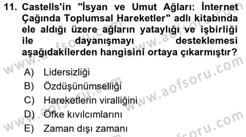 Yeni Toplumsal Hareketler Dersi 2021 - 2022 Yılı (Final) Dönem Sonu Sınav Soruları 11. Soru