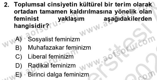 Yeni Toplumsal Hareketler Dersi 2021 - 2022 Yılı (Final) Dönem Sonu Sınav Soruları 2. Soru