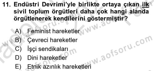 Yeni Toplumsal Hareketler Dersi 2021 - 2022 Yılı Yaz Okulu Sınav Soruları 11. Soru
