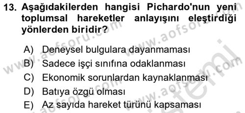 Yeni Toplumsal Hareketler Dersi 2021 - 2022 Yılı Yaz Okulu Sınav Soruları 13. Soru