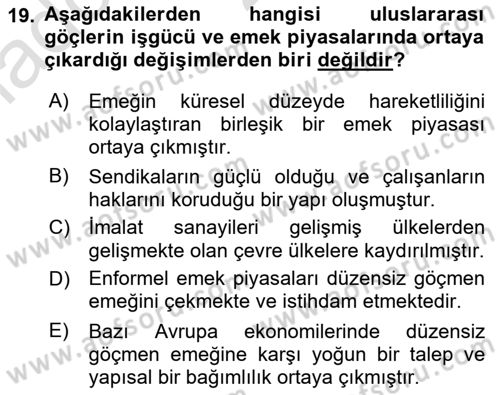Yeni Toplumsal Hareketler Dersi 2021 - 2022 Yılı Yaz Okulu Sınav Soruları 19. Soru