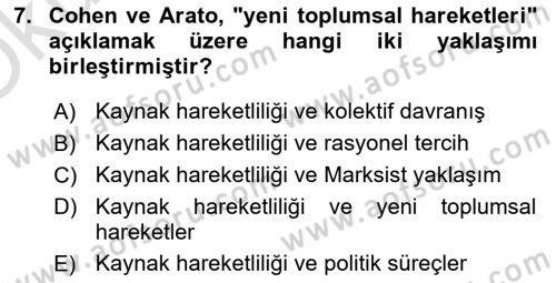 Yeni Toplumsal Hareketler Dersi 2021 - 2022 Yılı Yaz Okulu Sınav Soruları 7. Soru