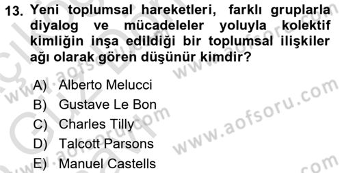 Yeni Toplumsal Hareketler Dersi Ara Sınavı Deneme Sınav Soruları 13. Soru