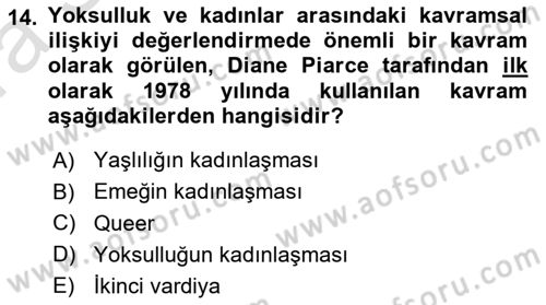 Yeni Toplumsal Hareketler Dersi Ara Sınavı Deneme Sınav Soruları 14. Soru