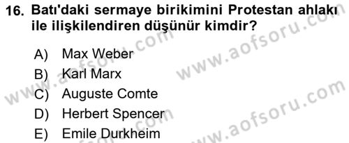 Yeni Toplumsal Hareketler Dersi Ara Sınavı Deneme Sınav Soruları 16. Soru