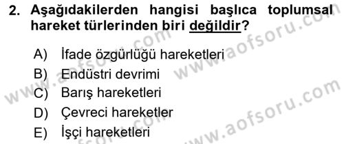 Yeni Toplumsal Hareketler Dersi Ara Sınavı Deneme Sınav Soruları 2. Soru