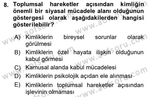 Yeni Toplumsal Hareketler Dersi Ara Sınavı Deneme Sınav Soruları 8. Soru