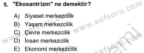 Yeni Toplumsal Hareketler Dersi 2022 - 2023 Yılı (Final) Dönem Sonu Sınav Soruları 5. Soru