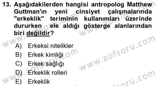 Yeni Toplumsal Hareketler Dersi 2022 - 2023 Yılı Yaz Okulu Sınav Soruları 13. Soru