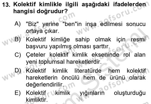 Yeni Toplumsal Hareketler Dersi Ara Sınavı Deneme Sınav Soruları 13. Soru