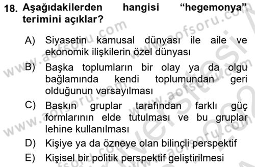 Yeni Toplumsal Hareketler Dersi Ara Sınavı Deneme Sınav Soruları 18. Soru
