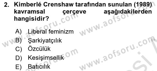 Yeni Toplumsal Hareketler Dersi Ara Sınavı Deneme Sınav Soruları 2. Soru