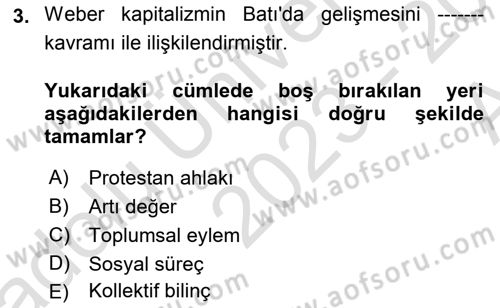 Yeni Toplumsal Hareketler Dersi 2023 - 2024 Yılı (Vize) Ara Sınav Soruları 3. Soru