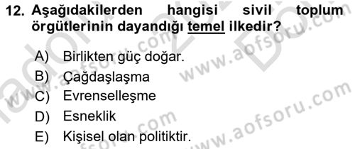 Yeni Toplumsal Hareketler Dersi 2023 - 2024 Yılı (Final) Dönem Sonu Sınav Soruları 12. Soru