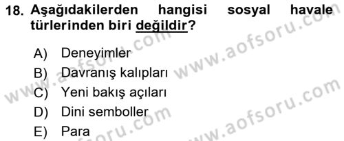 Yeni Toplumsal Hareketler Dersi 2023 - 2024 Yılı (Final) Dönem Sonu Sınav Soruları 18. Soru