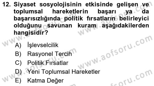 Yeni Toplumsal Hareketler Dersi 2023 - 2024 Yılı Yaz Okulu Sınav Soruları 12. Soru