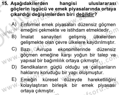 Yeni Toplumsal Hareketler Dersi 2023 - 2024 Yılı Yaz Okulu Sınav Soruları 15. Soru
