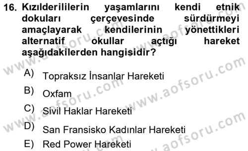 Yeni Toplumsal Hareketler Dersi 2023 - 2024 Yılı Yaz Okulu Sınav Soruları 16. Soru