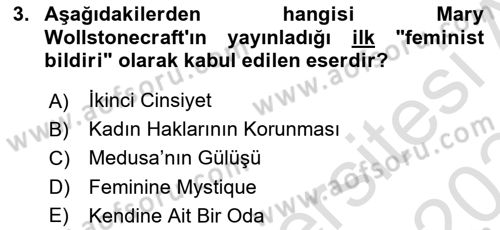 Yeni Toplumsal Hareketler Dersi 2023 - 2024 Yılı Yaz Okulu Sınav Soruları 3. Soru