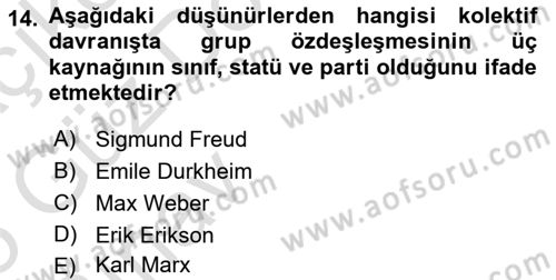 Yeni Toplumsal Hareketler Dersi 2024 - 2025 Yılı (Vize) Ara Sınav Soruları 14. Soru