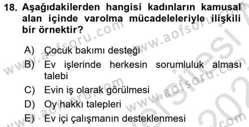Yeni Toplumsal Hareketler Dersi 2024 - 2025 Yılı (Vize) Ara Sınav Soruları 18. Soru