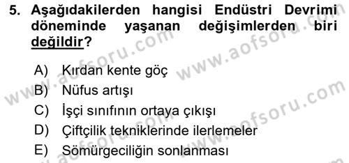 Yeni Toplumsal Hareketler Dersi 2024 - 2025 Yılı (Vize) Ara Sınav Soruları 5. Soru