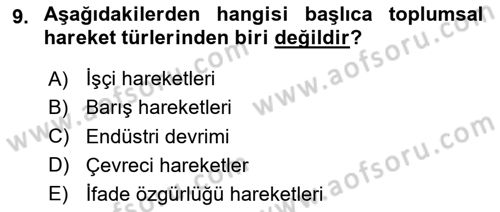 Yeni Toplumsal Hareketler Dersi 2024 - 2025 Yılı (Vize) Ara Sınav Soruları 9. Soru