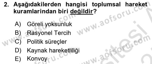 Yeni Toplumsal Hareketler Dersi 2024 - 2025 Yılı (Final) Dönem Sonu Sınav Soruları 2. Soru