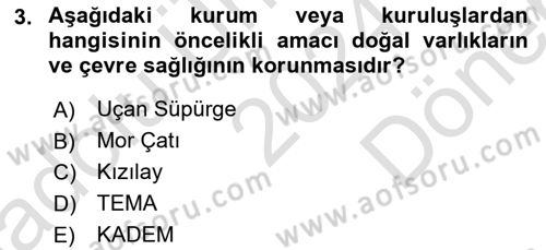 Yeni Toplumsal Hareketler Dersi 2024 - 2025 Yılı (Final) Dönem Sonu Sınav Soruları 3. Soru