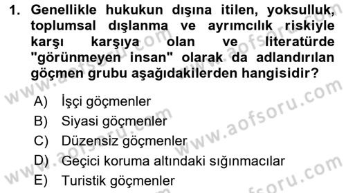 Yeni Toplumsal Hareketler Dersi 2024 - 2025 Yılı Yaz Okulu Sınav Soruları 1. Soru