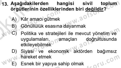 Yeni Toplumsal Hareketler Dersi 2024 - 2025 Yılı Yaz Okulu Sınav Soruları 13. Soru