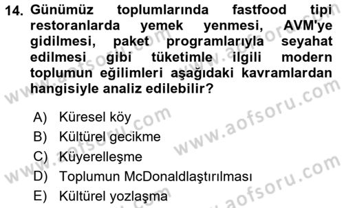 Yeni Toplumsal Hareketler Dersi 2024 - 2025 Yılı Yaz Okulu Sınav Soruları 14. Soru