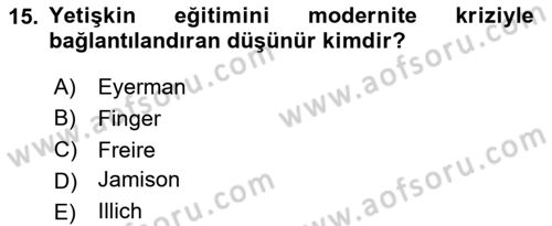 Yeni Toplumsal Hareketler Dersi 2024 - 2025 Yılı Yaz Okulu Sınav Soruları 15. Soru