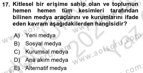 Yeni Toplumsal Hareketler Dersi 2024 - 2025 Yılı Yaz Okulu Sınav Soruları 17. Soru