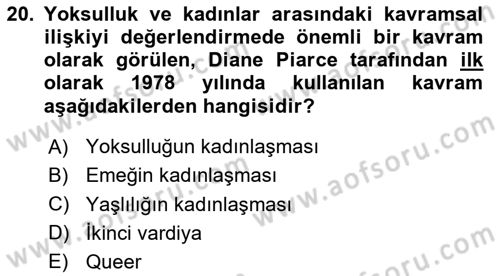 Yeni Toplumsal Hareketler Dersi 2024 - 2025 Yılı Yaz Okulu Sınav Soruları 20. Soru