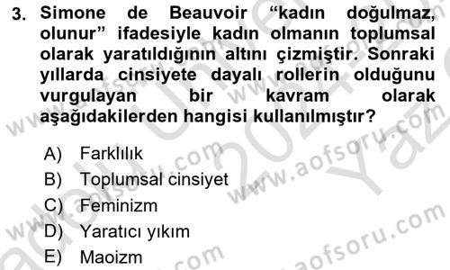 Yeni Toplumsal Hareketler Dersi 2024 - 2025 Yılı Yaz Okulu Sınav Soruları 3. Soru