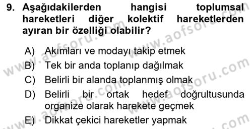 Yeni Toplumsal Hareketler Dersi 2024 - 2025 Yılı Yaz Okulu Sınav Soruları 9. Soru