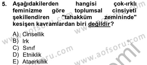 Toplumsal Cinsiyet Çalışmaları Dersi 2012 - 2013 Yılı (Vize) Ara Sınav Soruları 5. Soru