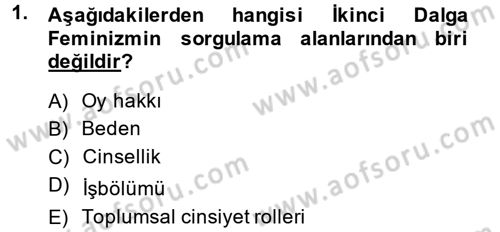 Toplumsal Cinsiyet Çalışmaları Dersi 2013 - 2014 Yılı (Vize) Ara Sınav Soruları 1. Soru